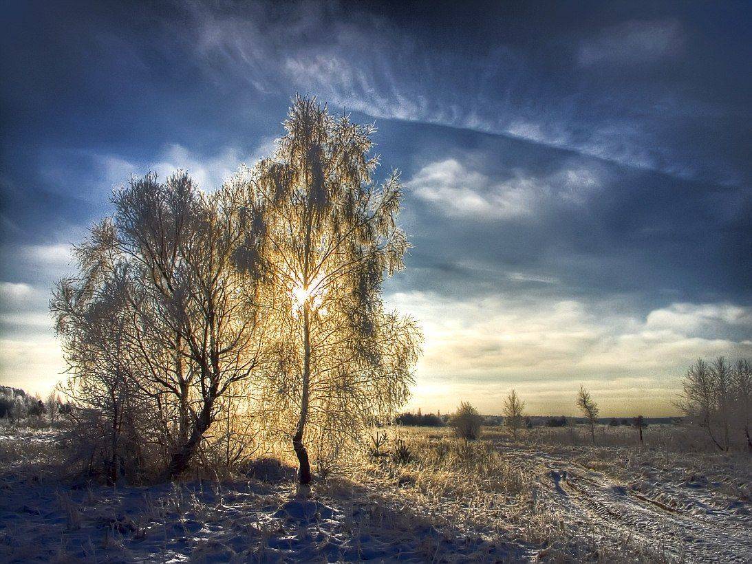 , Zakhar