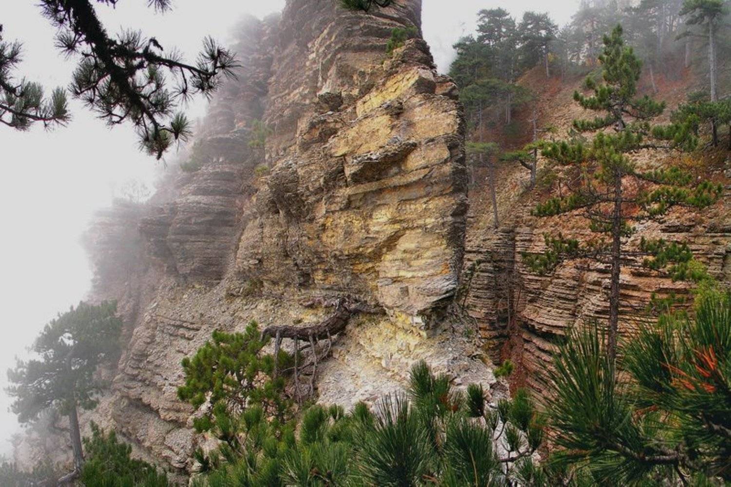 , Андрей  Золочевский