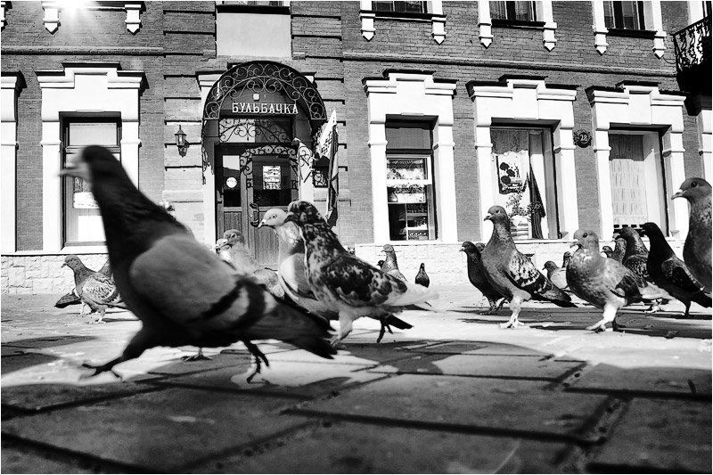 *** фото превью