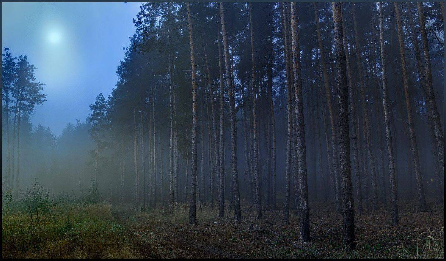 , Вадим Трунов