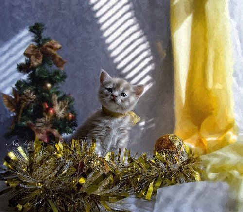 Новогоднее