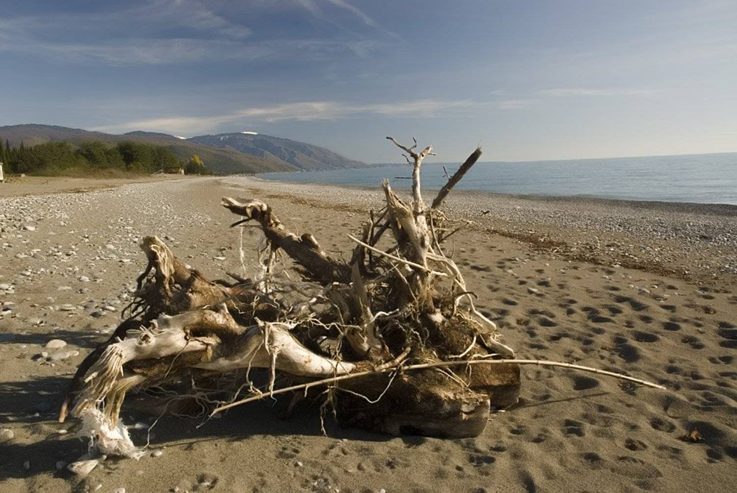 абхазия, страна души, Sergey Tarba