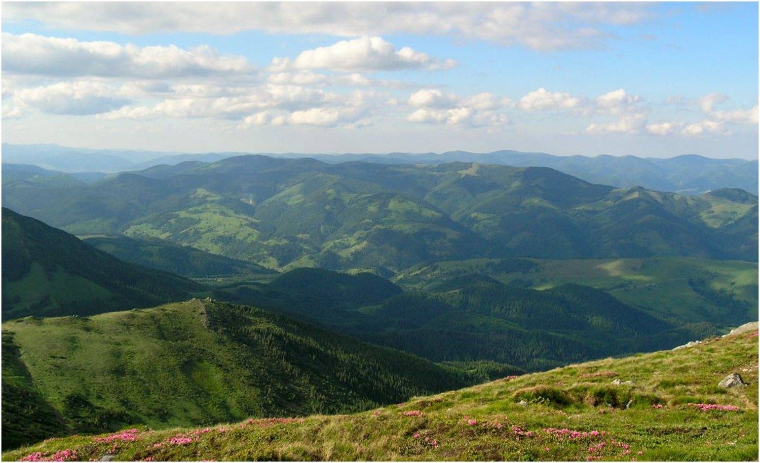 карпаты, Игорь Шевченко