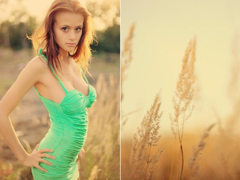 Гусеница фото превью