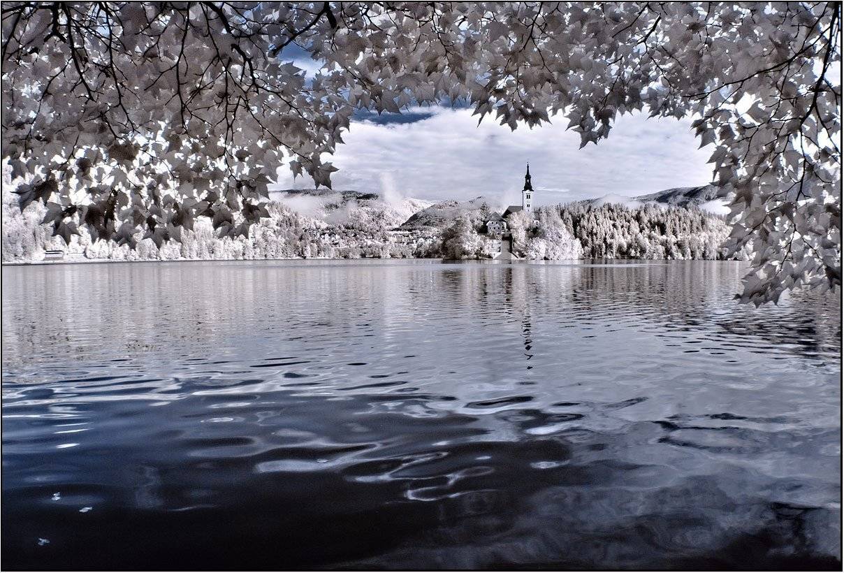 сентябрь, словения озеро блед. ir, izh Diletant (Валерий Щербина)