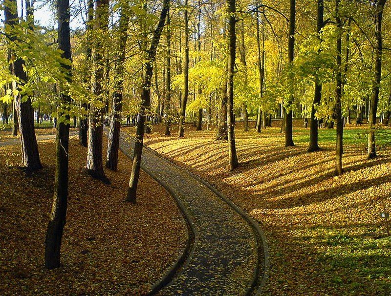 Палитра октября фото превью