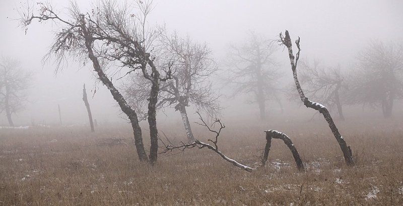 не прощенные фото превью