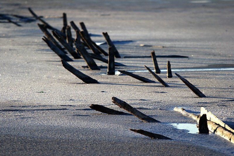 заброшенное,забытое из жизни дерева 2 фото превью