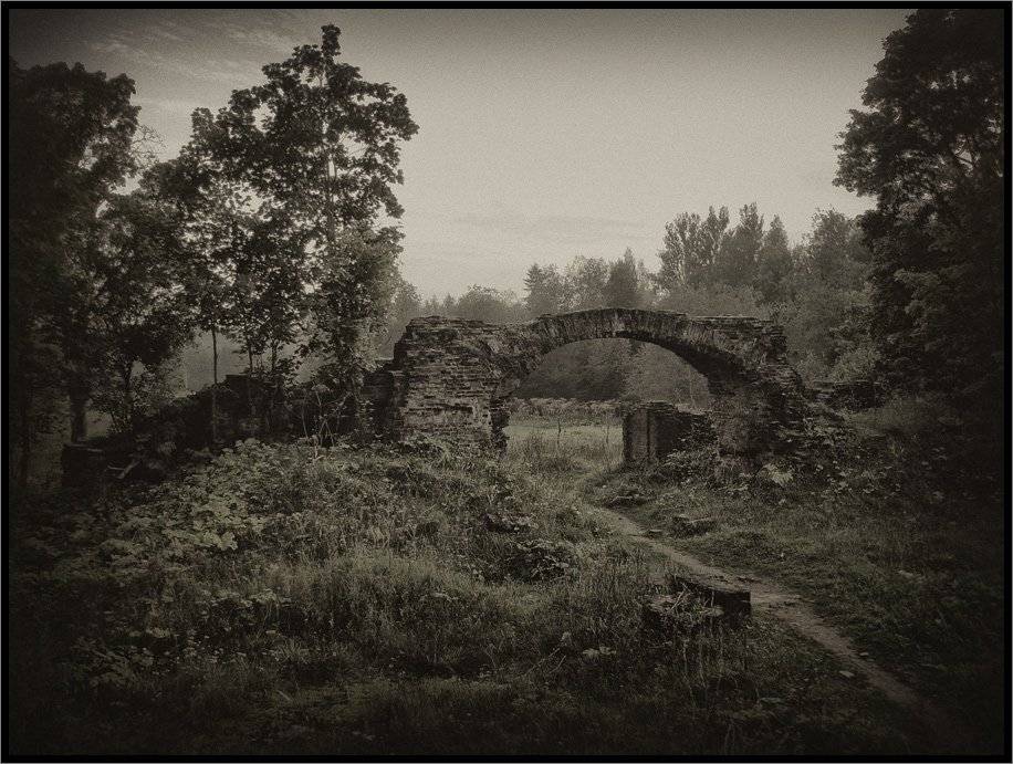 , Лунный Ежик