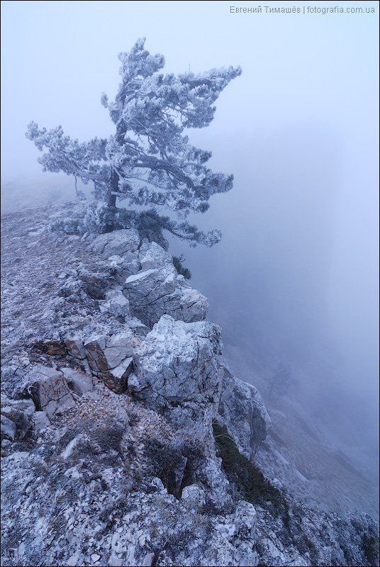 Туманы Ай-Петри фото превью