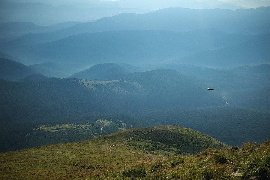 карпаты, природа, пейзаж, горы, панорама, утро, говерла, Piligrim