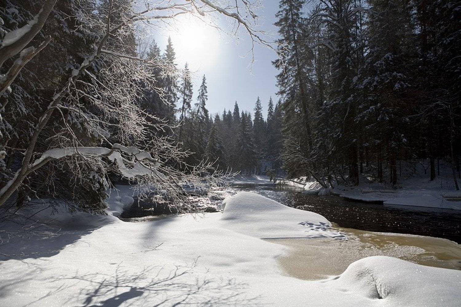 речка, тохмайоки, карелия, Владимир Кириченко (vlkira)