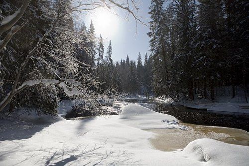 Речка Тохмайоки. Карелия