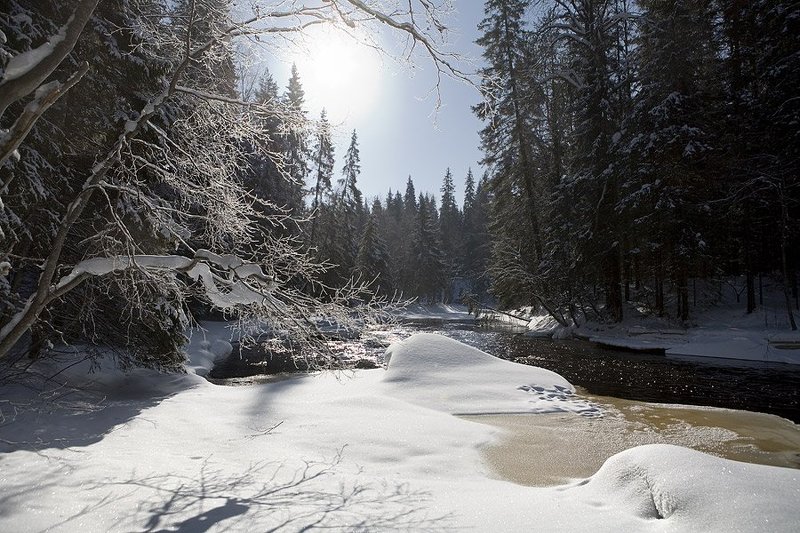 речка, тохмайоки, карелия Речка Тохмайоки. Карелия фото превью