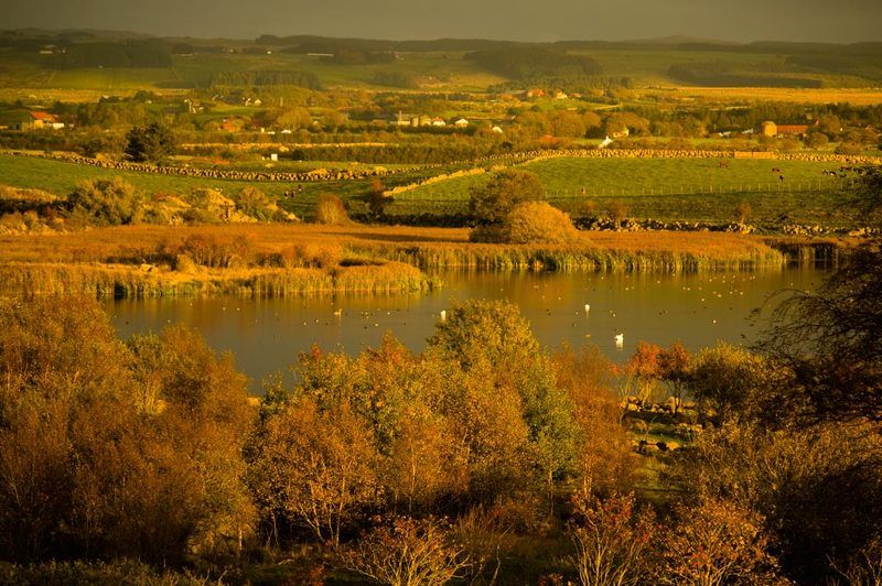 Осенняя Норвегия фото превью