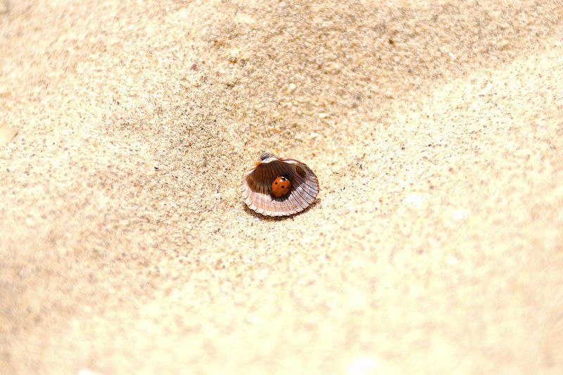 minimal  фото превью