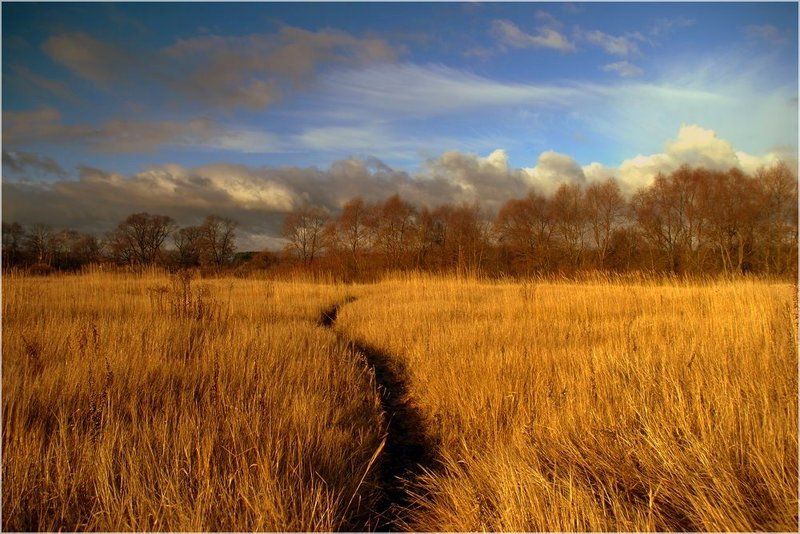 * * * * * фото превью