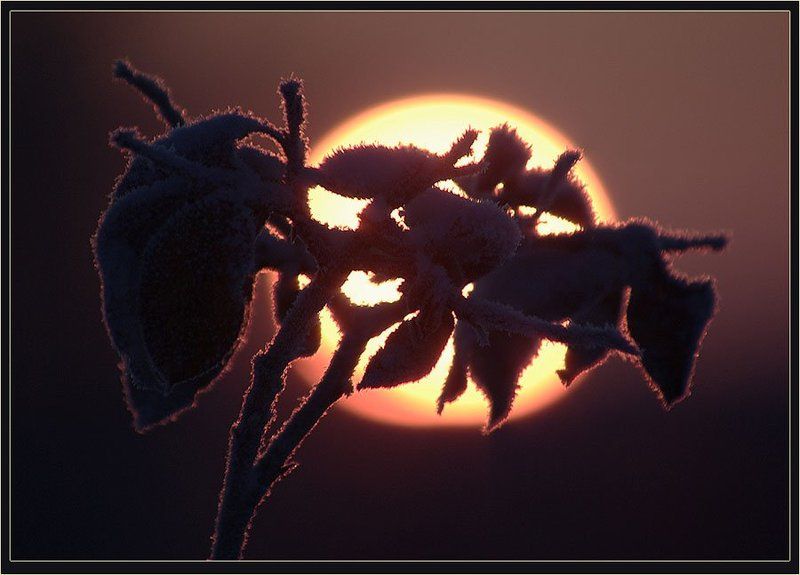 Декабрьский этюд фото превью