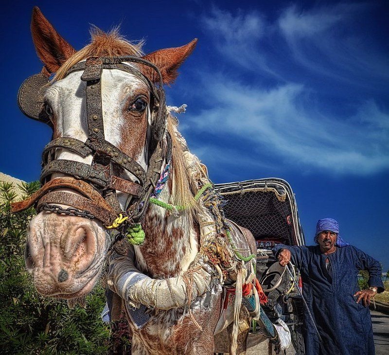 *Восточные зарисовки* фото превью
