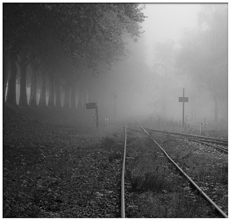 Сталкер фото превью