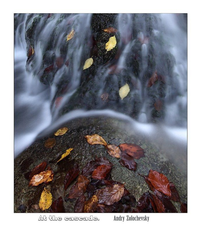 вода,горный ручей At the cascade фото превью