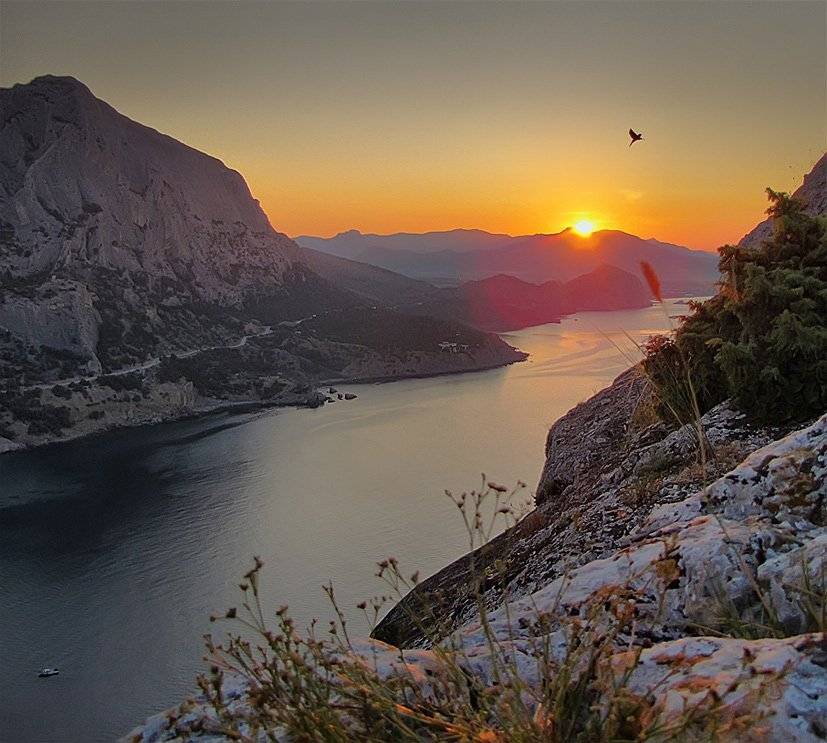 , Владимир Точаненко