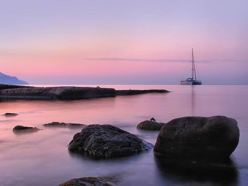 , Владимир Точаненко