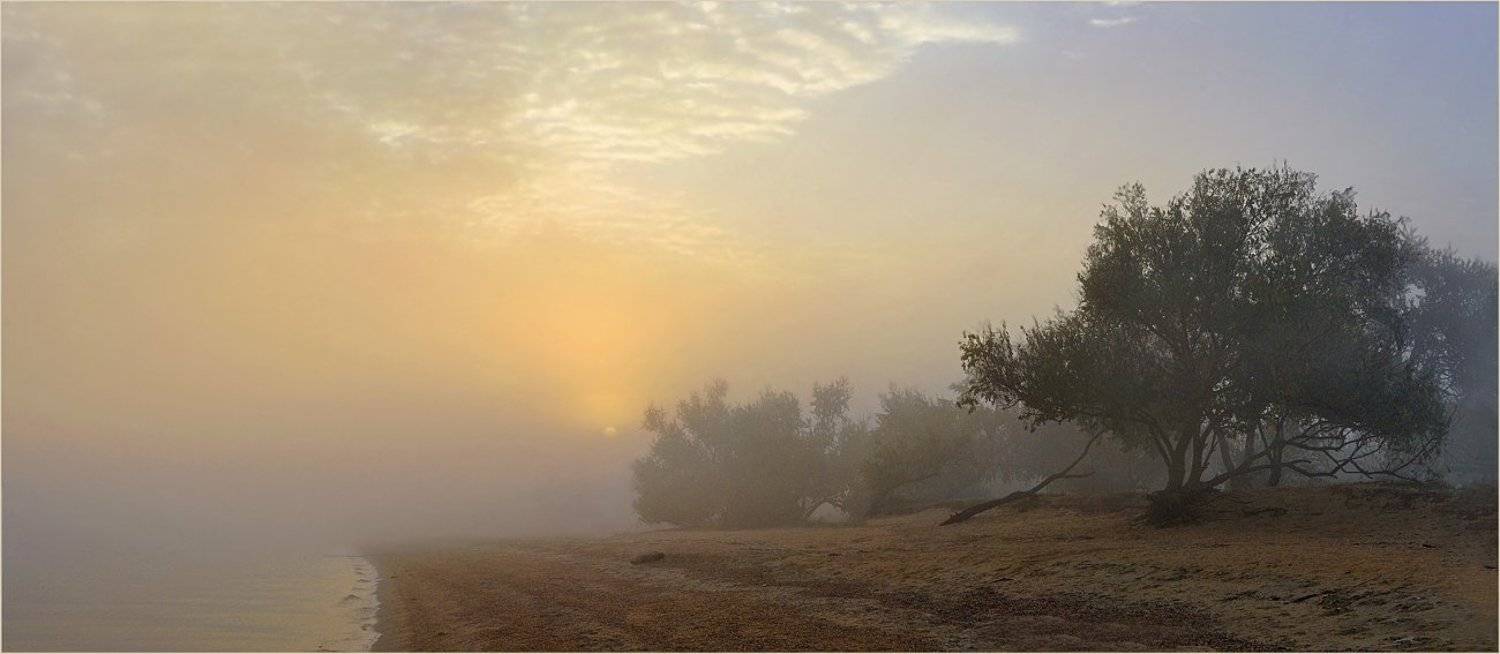 , Борис Пирог