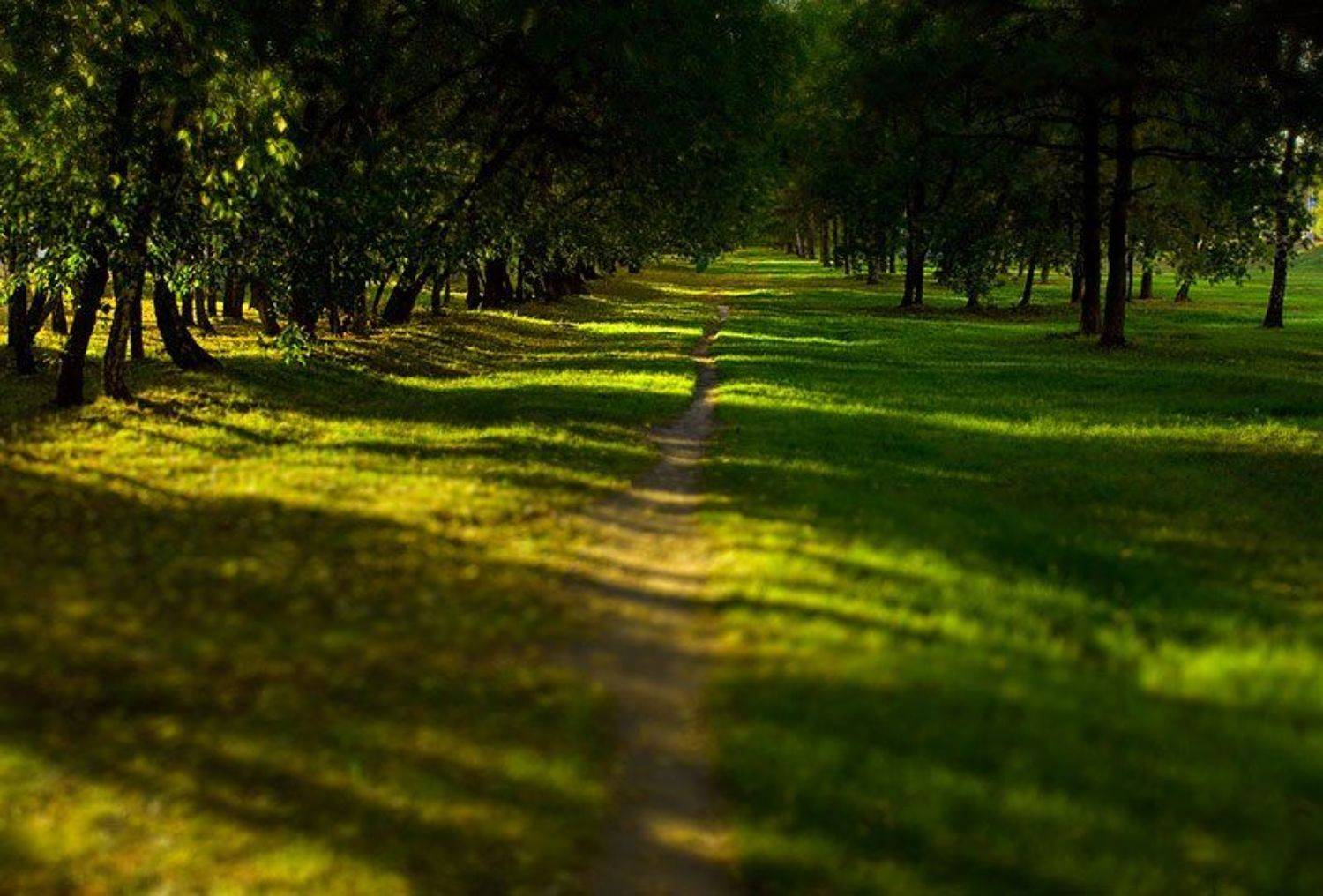 жулебино, лето, вечерело..., sashayo