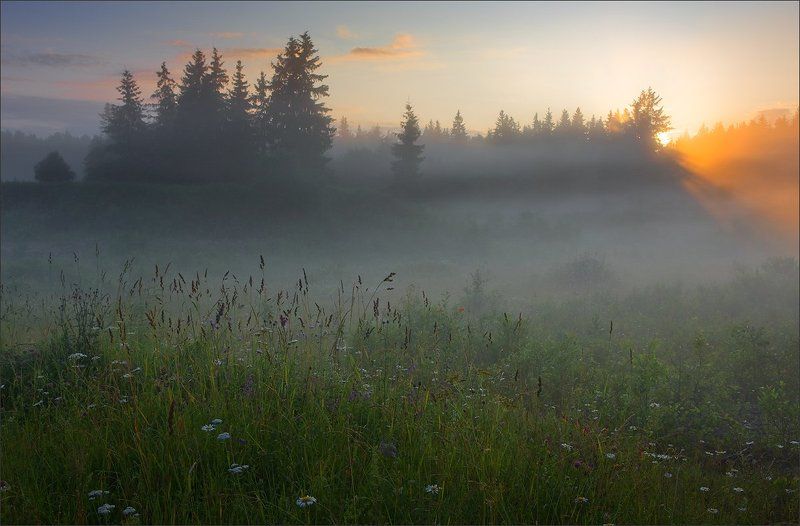 *** фото превью