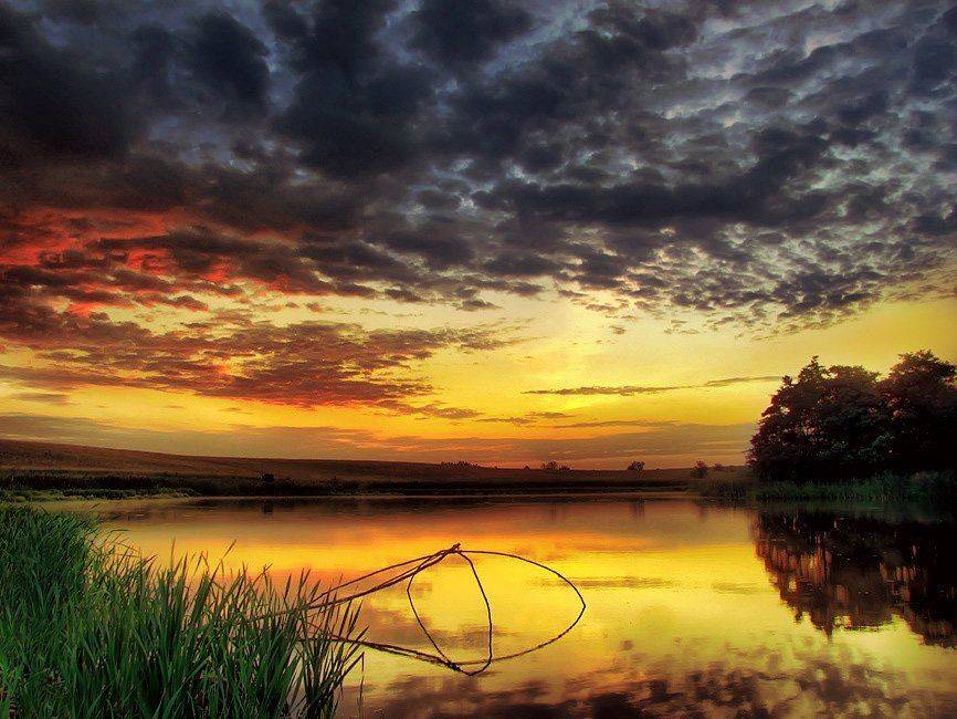 , Владимир Точаненко