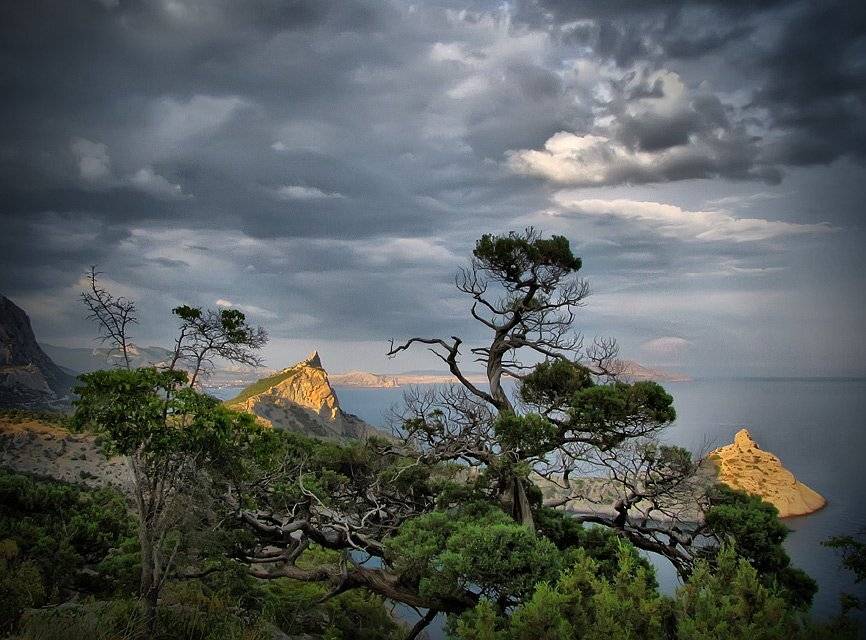 , Владимир Точаненко