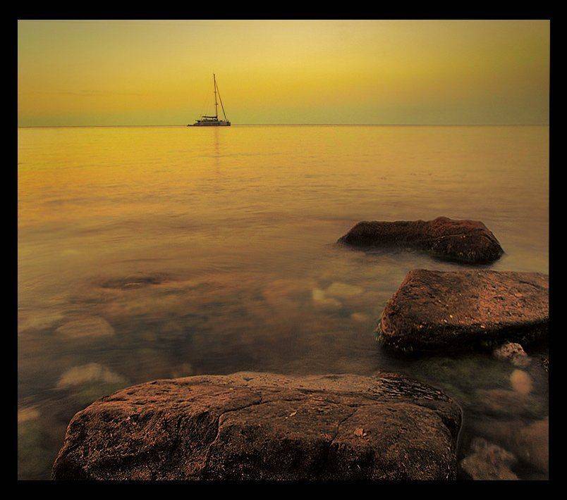 , Владимир Точаненко