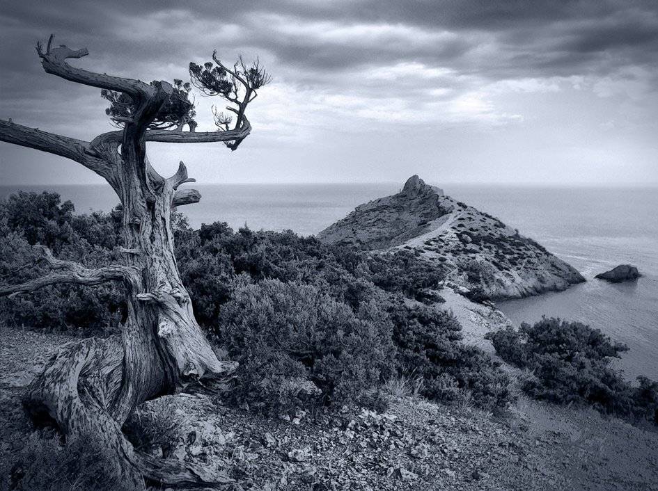 , Владимир Точаненко