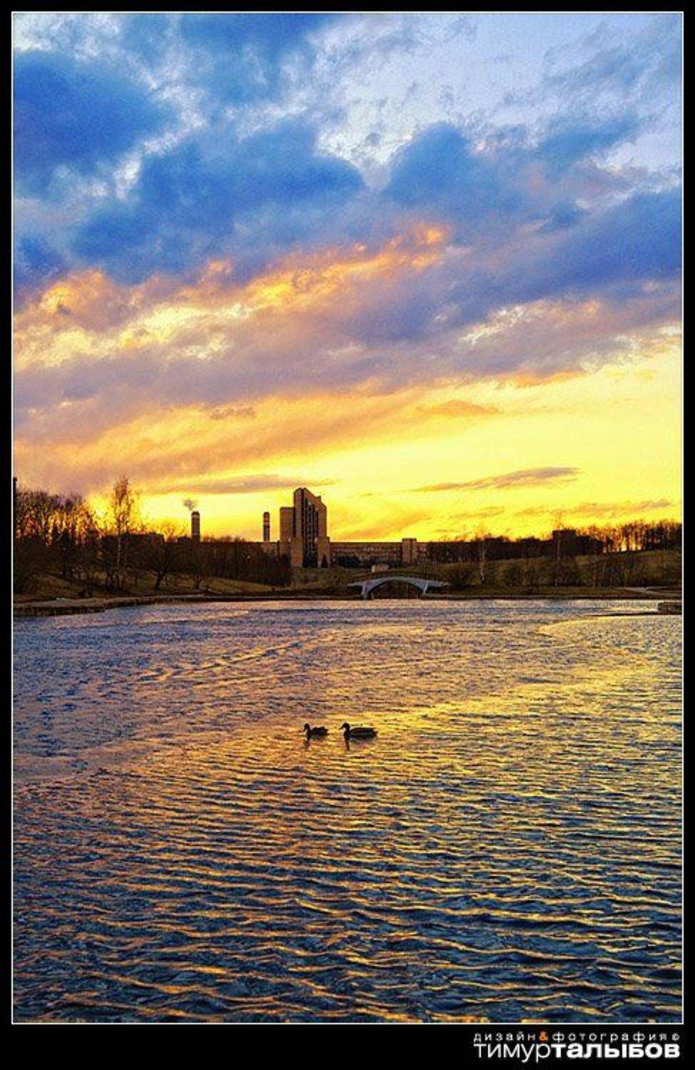 , Тимур Талыбов