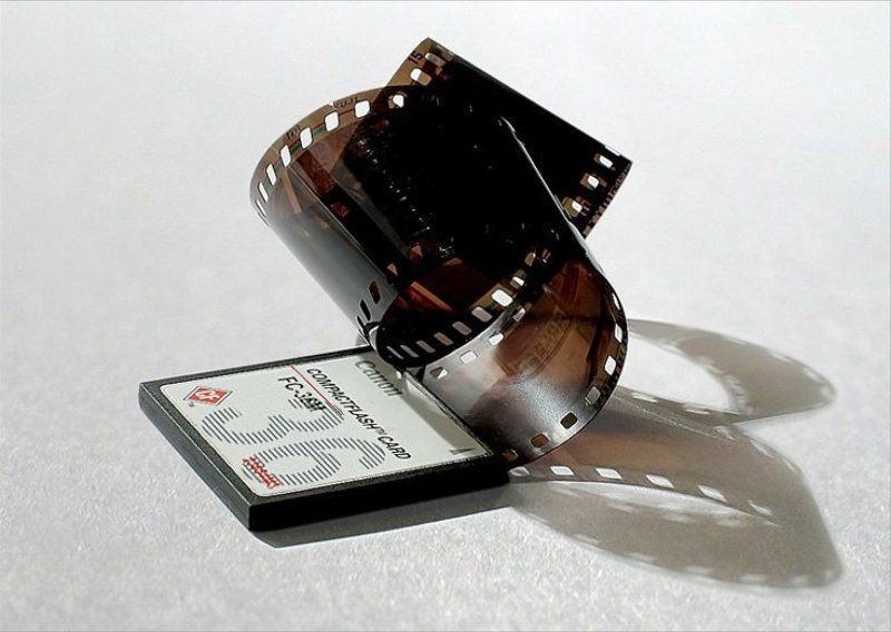 Неизвестная ступень эволюции фото превью