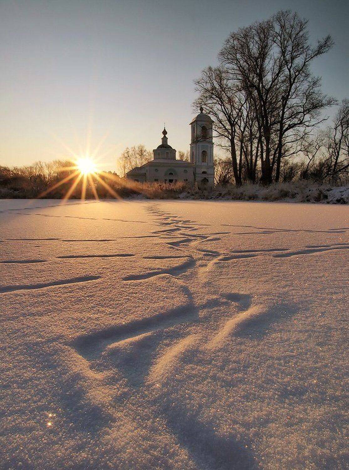 , Максим Евдокимов