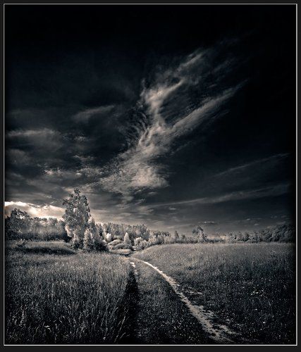 Дорога в лес