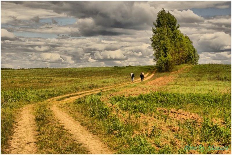 луга, просека, путники Поход за облаками фото превью