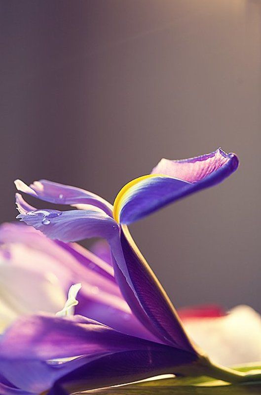 не зимнее настроение фото превью