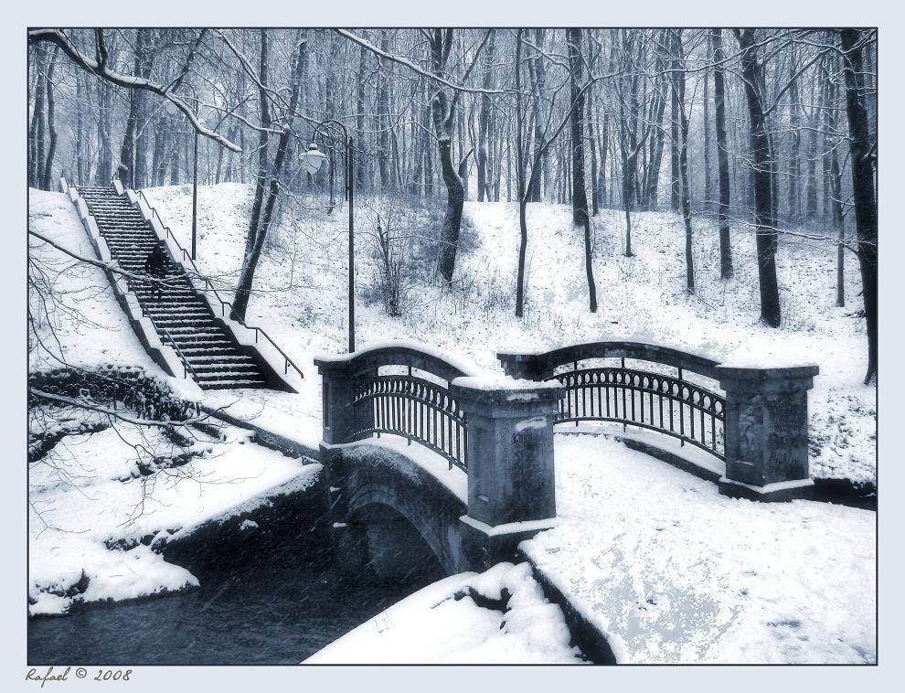 зима, 2007, Рафаэль Александрович Фоменко