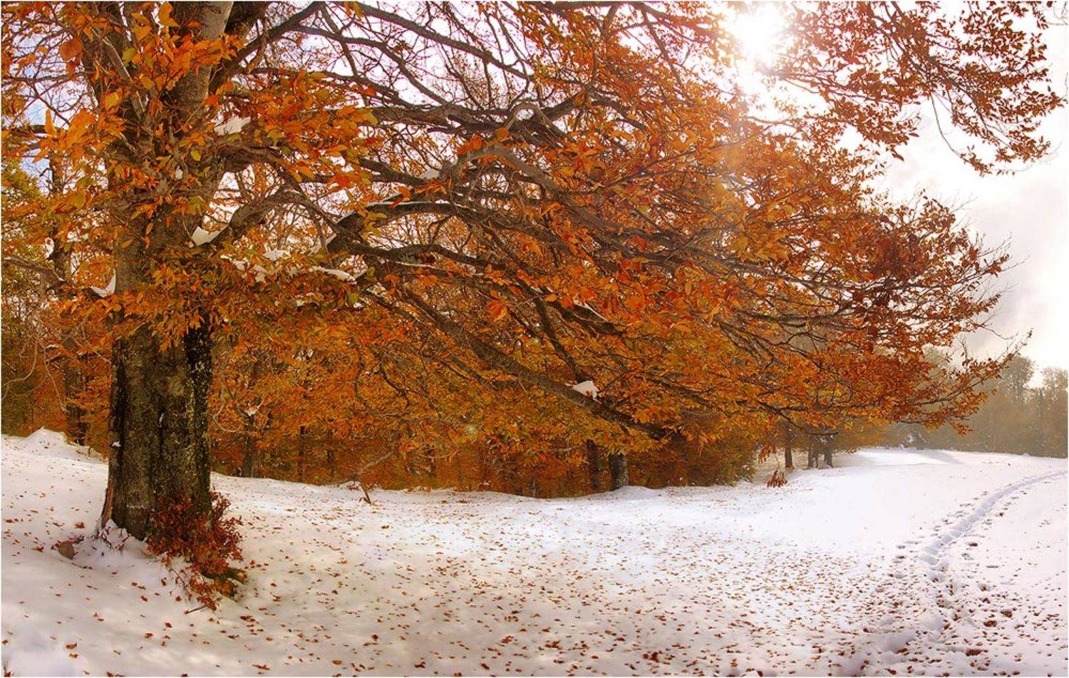 карпаты, Kolebidenko Vladimir