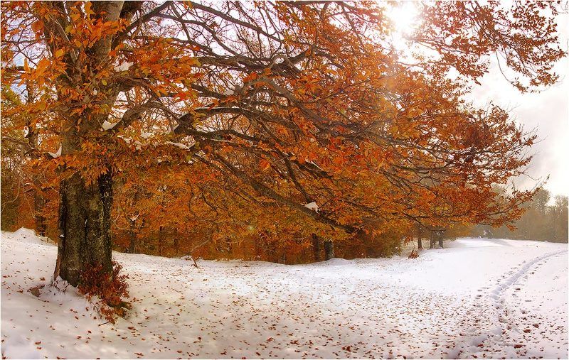 карпаты Зимо-осень фото превью