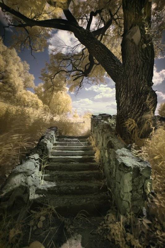 ик, Эдуард VTORNIK  Николаев