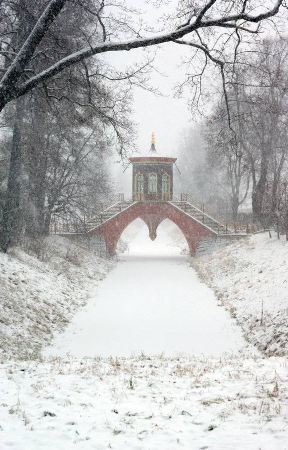 , Александр Ванюков