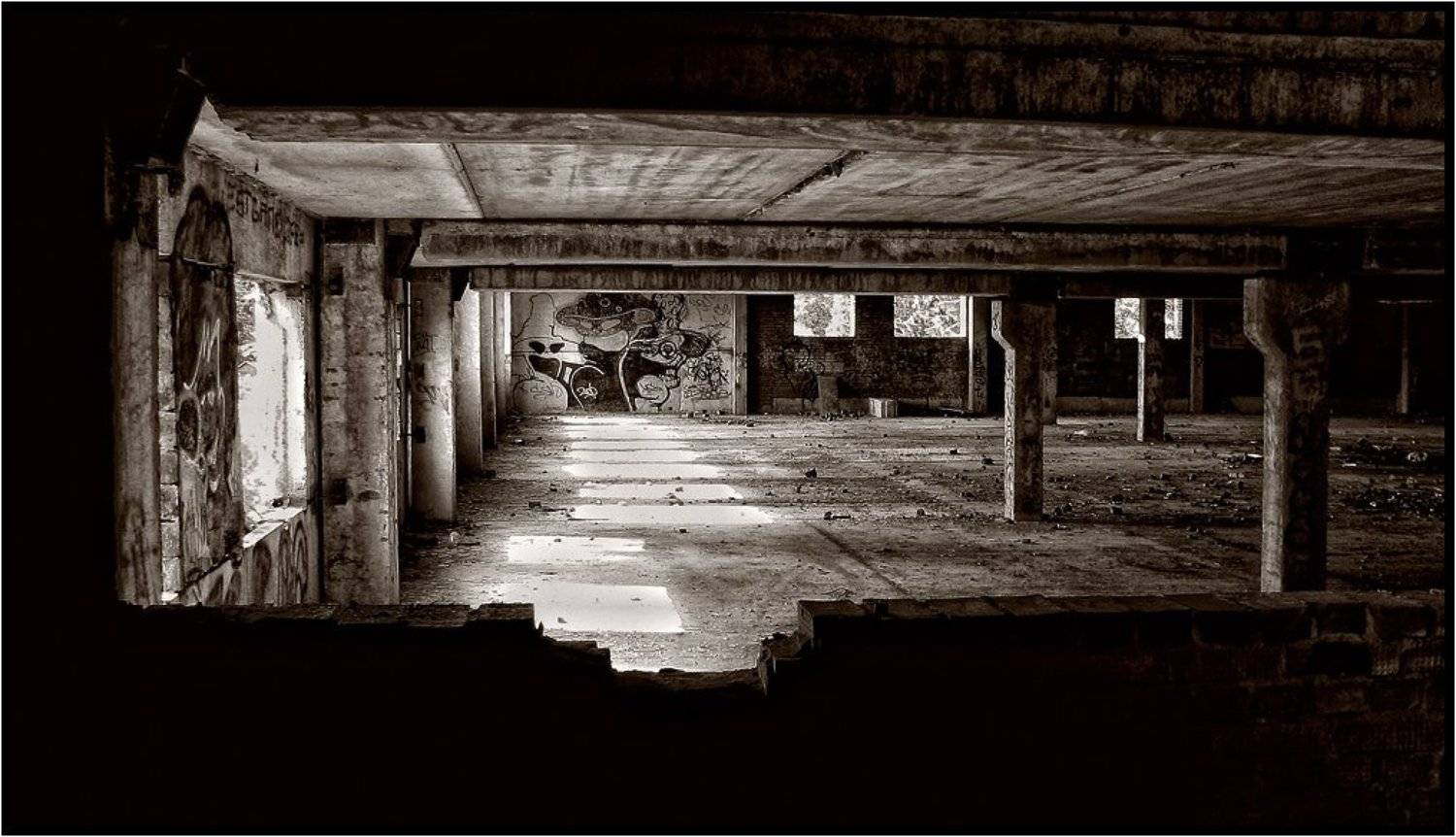 , Лунный Ежик