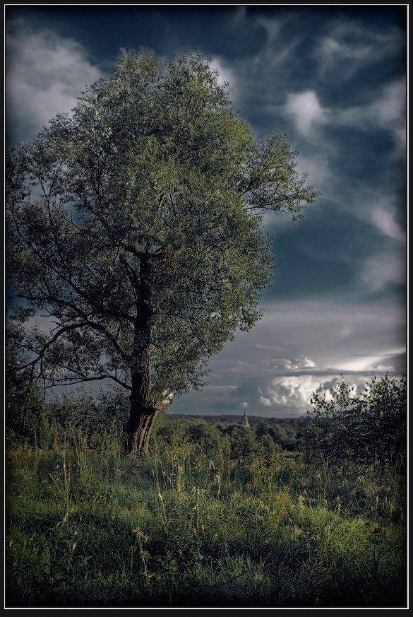 пейзаж, липа, дерево, храм, Александр Авилов