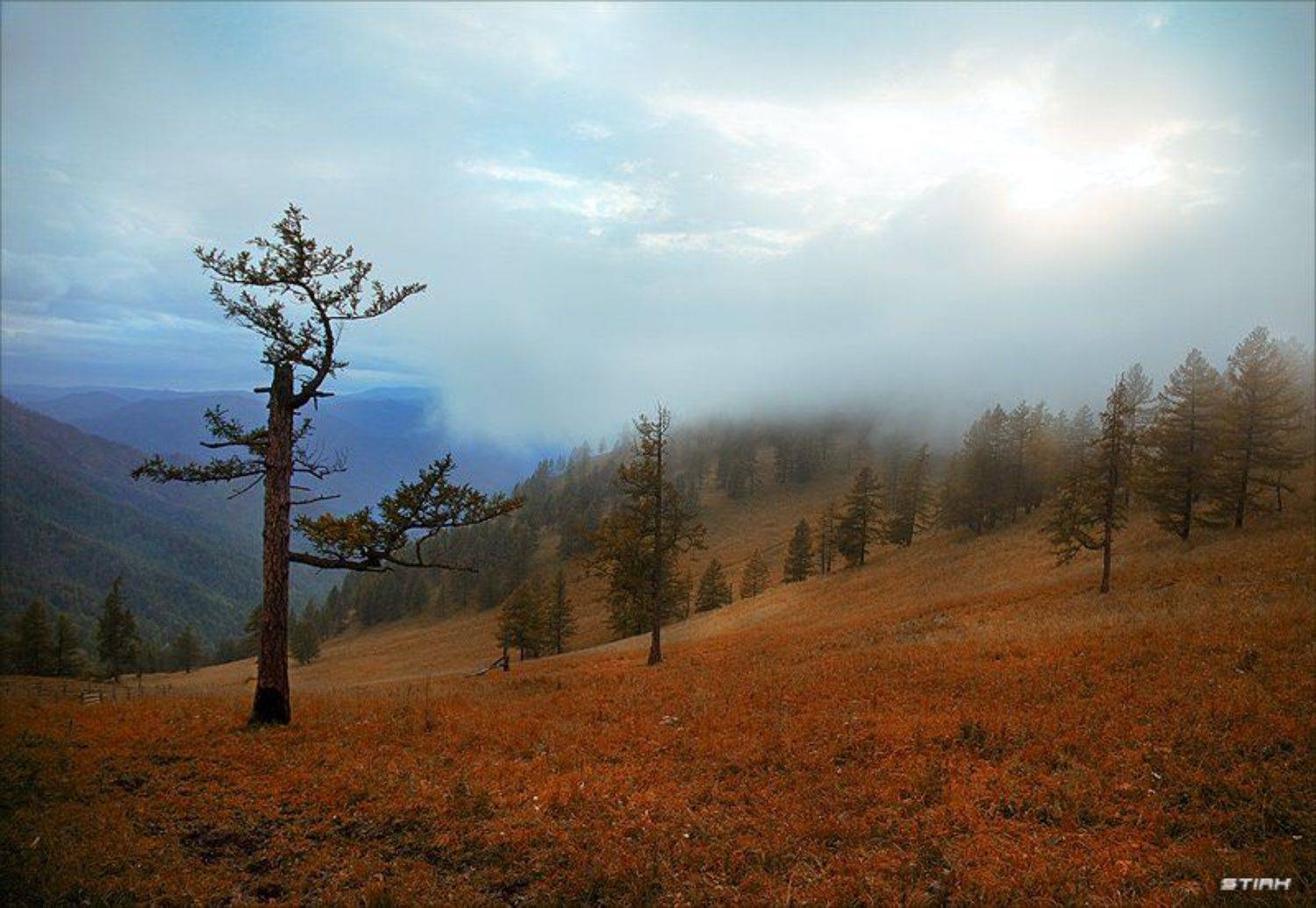 пейзаж, природа, алтай, горы, путешествие, манипуляции, Михаил Евстратов