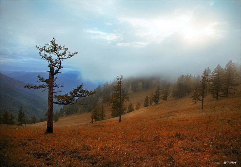 пейзаж, природа, алтай, горы, путешествие, манипуляции Алтайский край фото превью