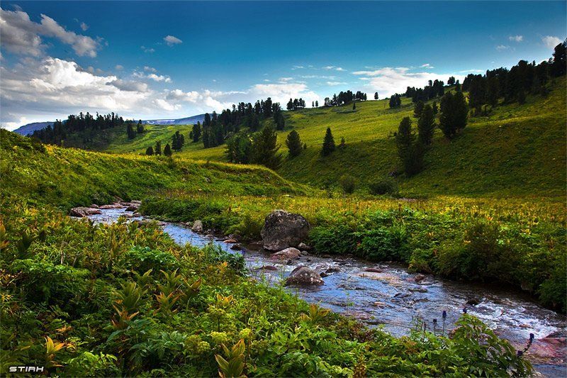 пейзаж, природа, алтай, горы, путешествие, манипуляции Алтайские поля фото превью